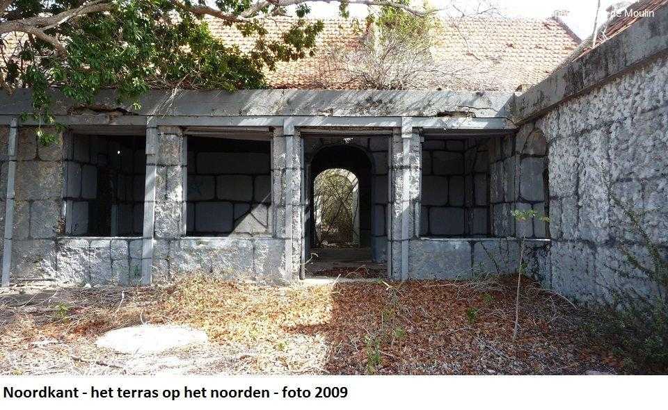 26. Noordkant terras op het noorden 2009
